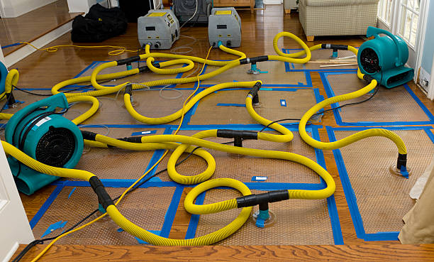Professional Crawl Space Water Removal technician working in Arlington, MN
